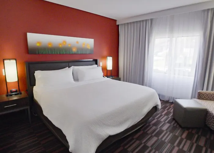 King Room Mobility accessible